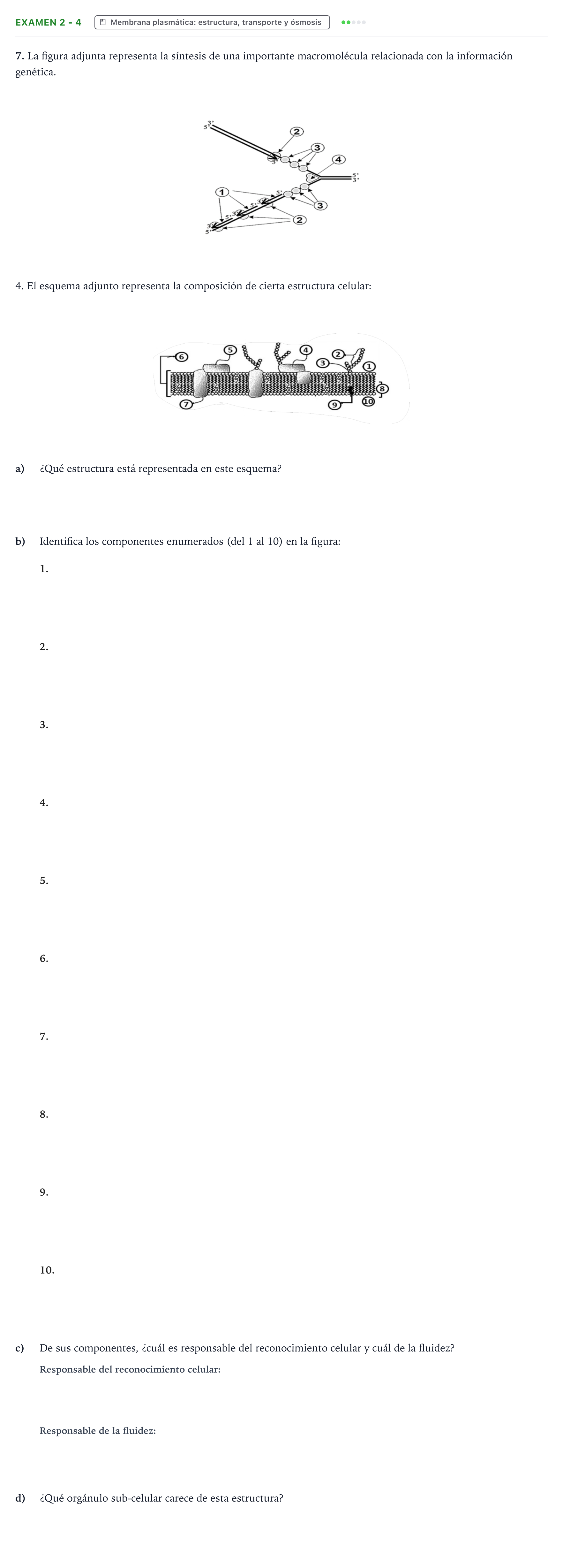 Enunciado: Ejercicio Examen 2 - 4 · Biología PAU Canarias Preguntas-Ebau.pdf