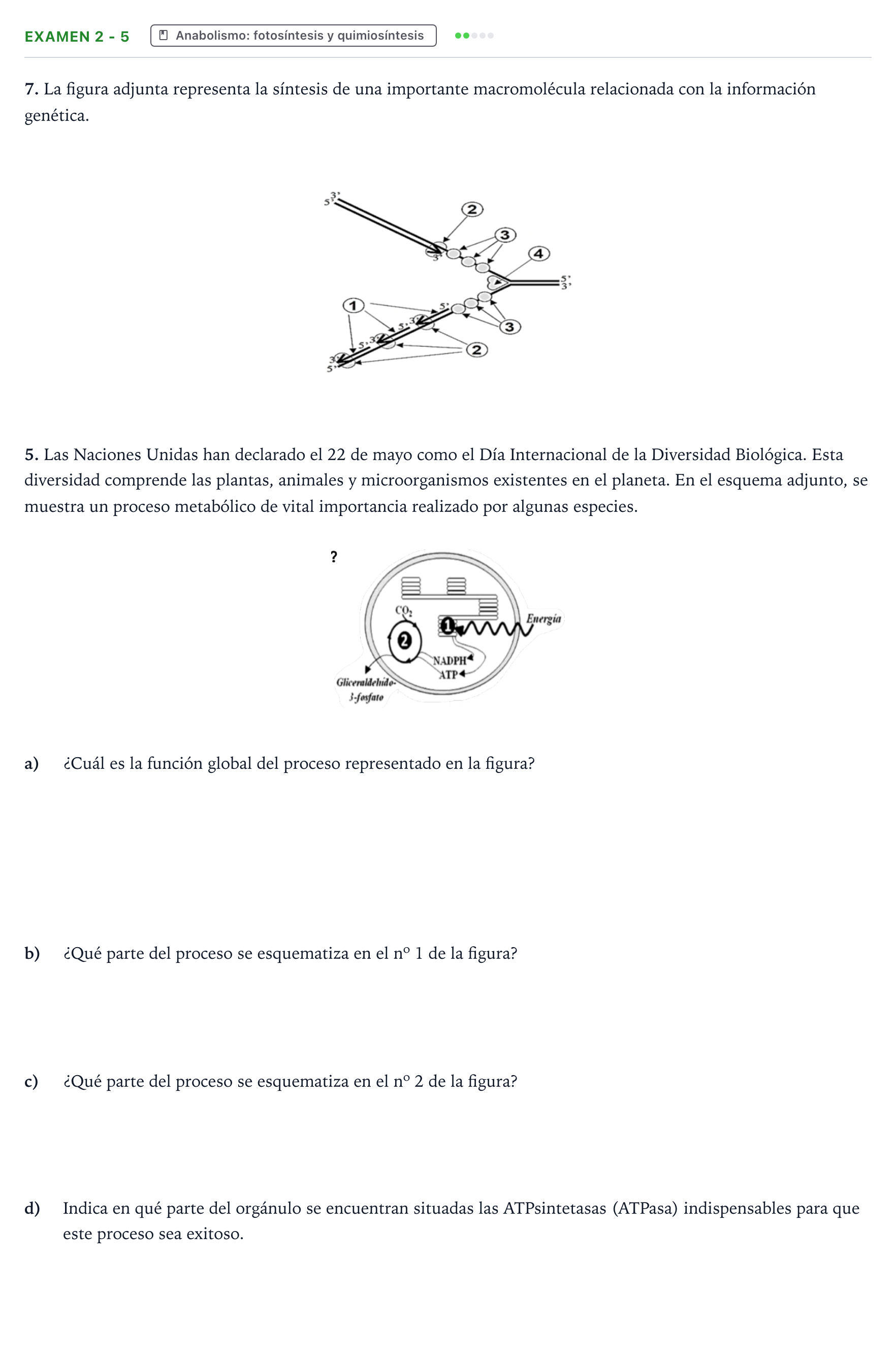 Enunciado: Ejercicio Examen 2 - 5 · Biología PAU Canarias Preguntas-Ebau.pdf