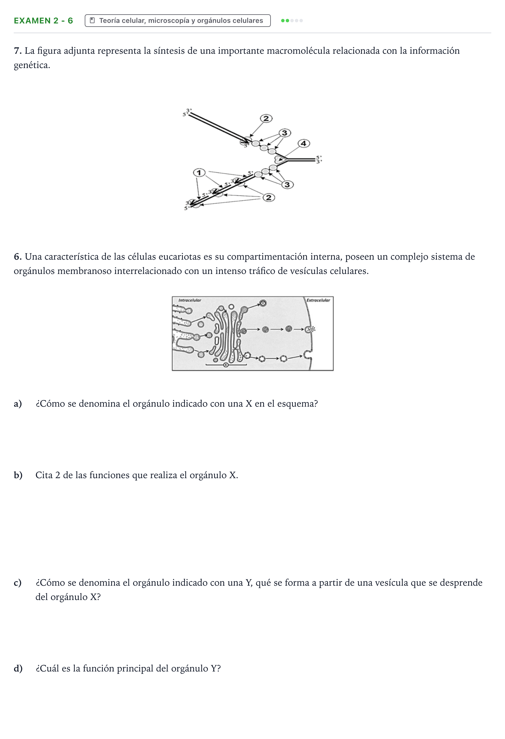 Enunciado: Ejercicio Examen 2 - 6 · Biología PAU Canarias Preguntas-Ebau.pdf