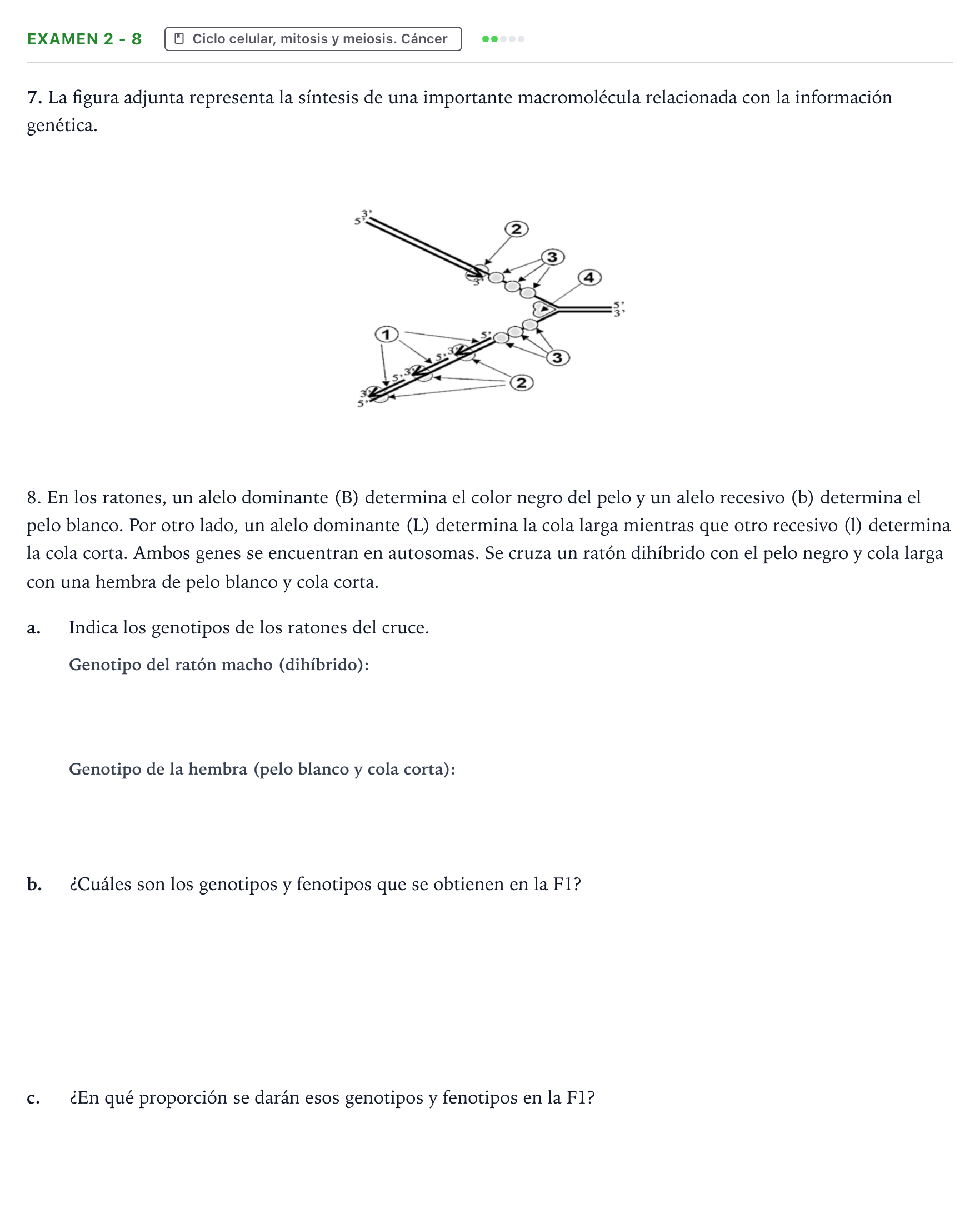 Enunciado: Ejercicio Examen 2 - 8 · Biología PAU Canarias Preguntas-Ebau.pdf