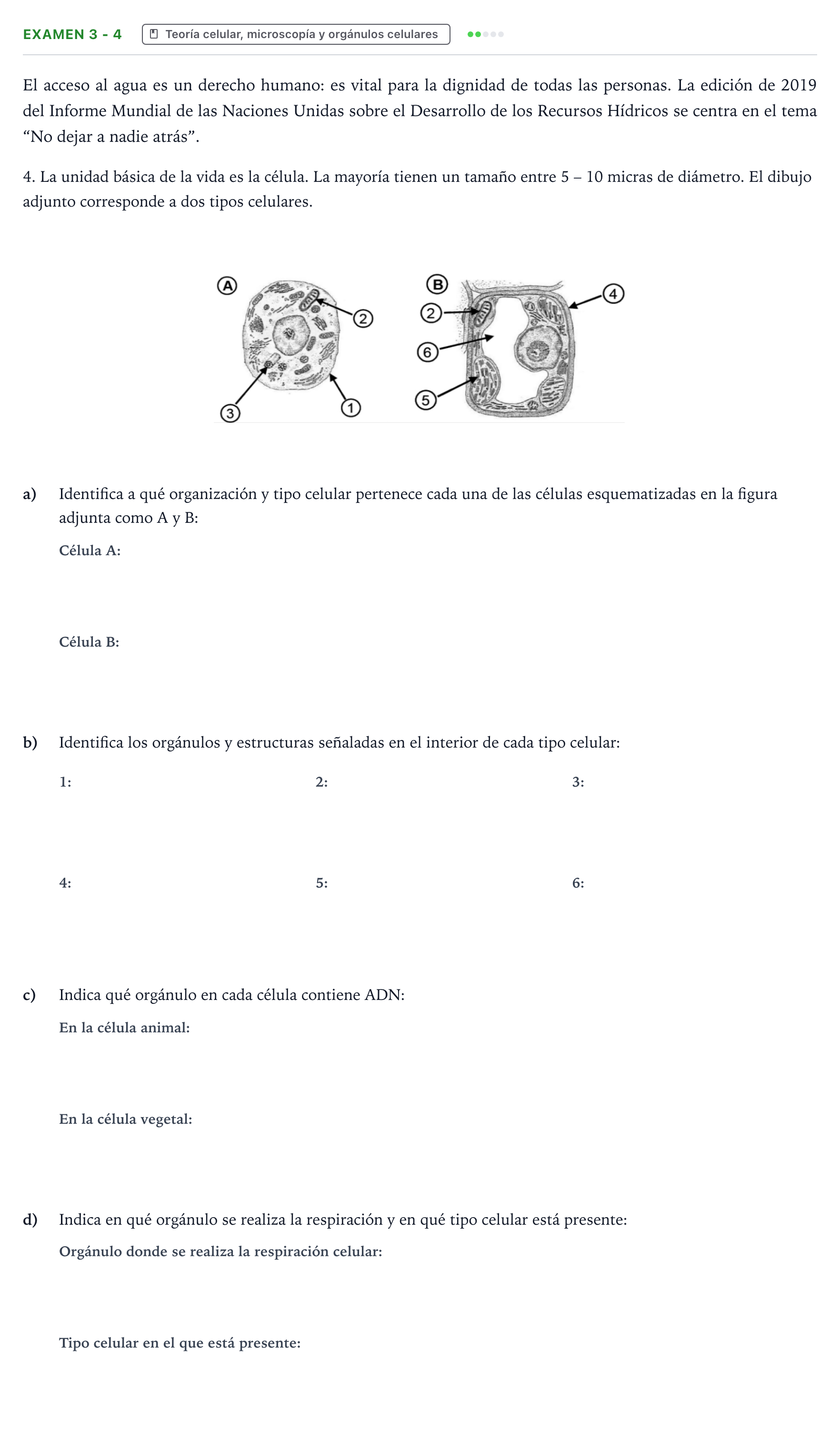 Enunciado: Ejercicio Examen 3 - 4 · Biología PAU Canarias Preguntas-Ebau.pdf