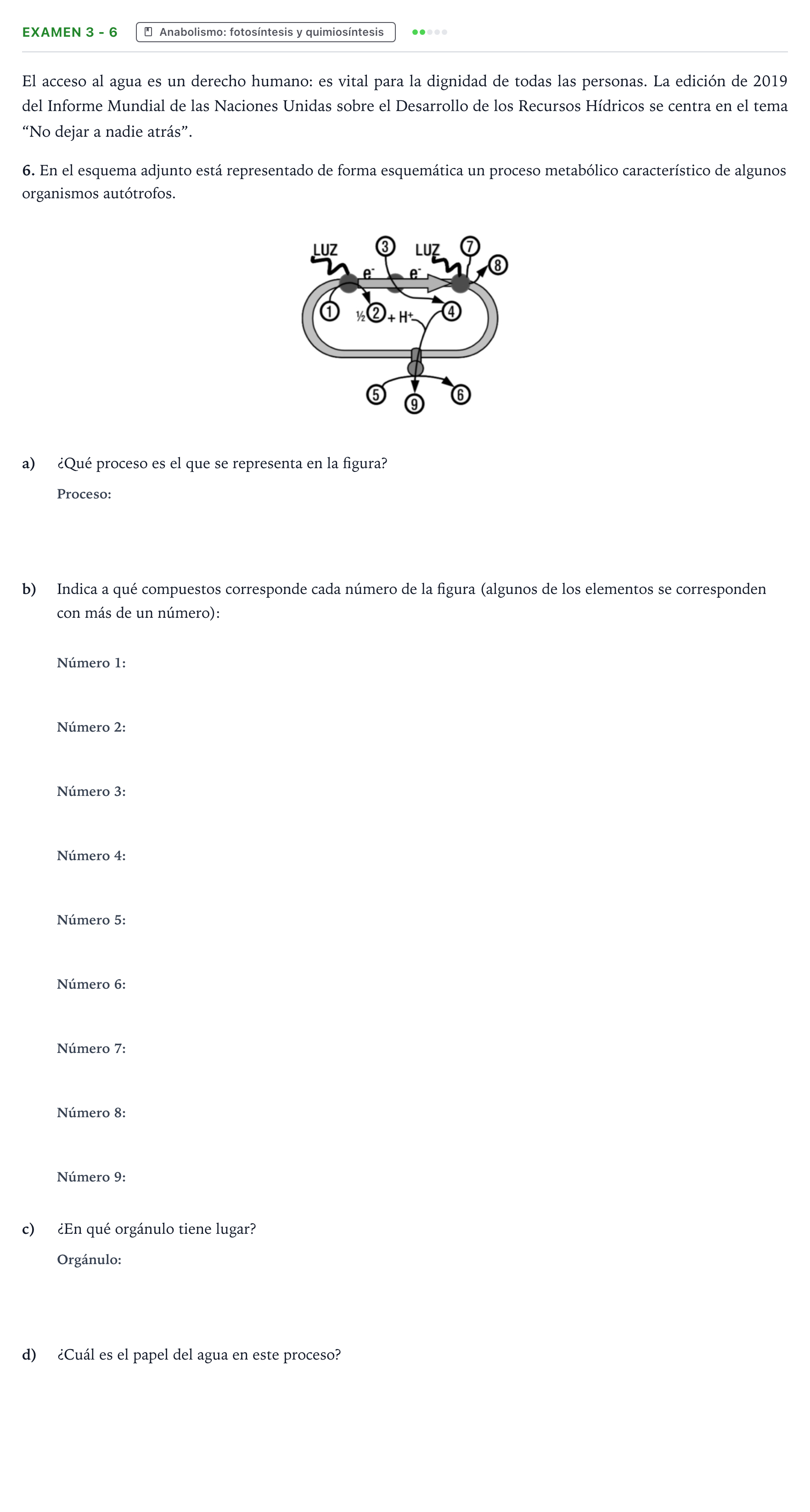 Enunciado: Ejercicio Examen 3 - 6 · Biología PAU Canarias Preguntas-Ebau.pdf