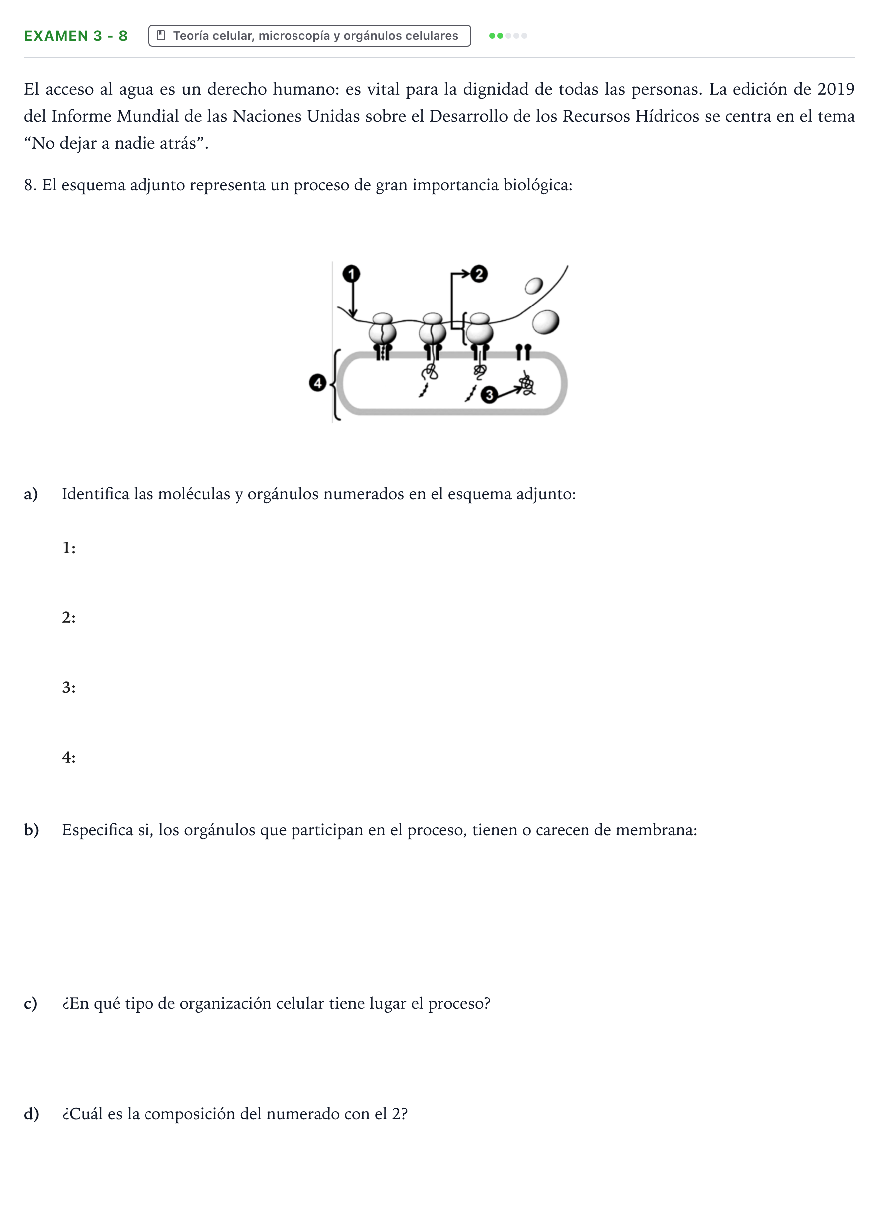 Enunciado: Ejercicio Examen 3 - 8 · Biología PAU Canarias Preguntas-Ebau.pdf