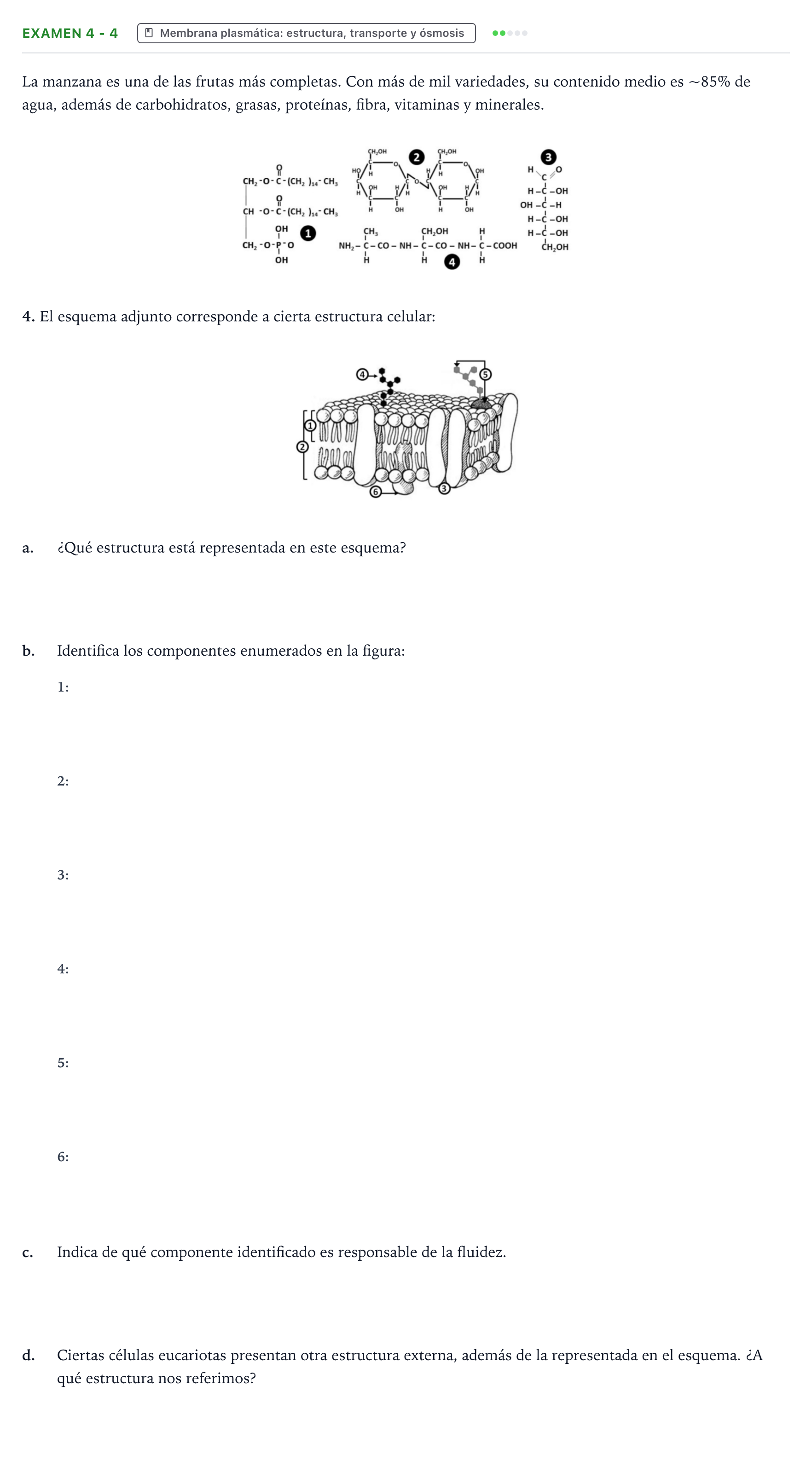 Enunciado: Ejercicio Examen 4 - 4 · Biología PAU Canarias Preguntas-Ebau.pdf