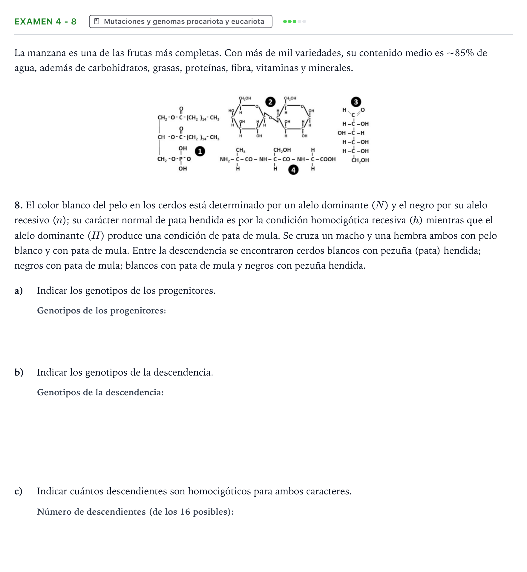 Enunciado: Ejercicio Examen 4 - 8 · Biología PAU Canarias Preguntas-Ebau.pdf