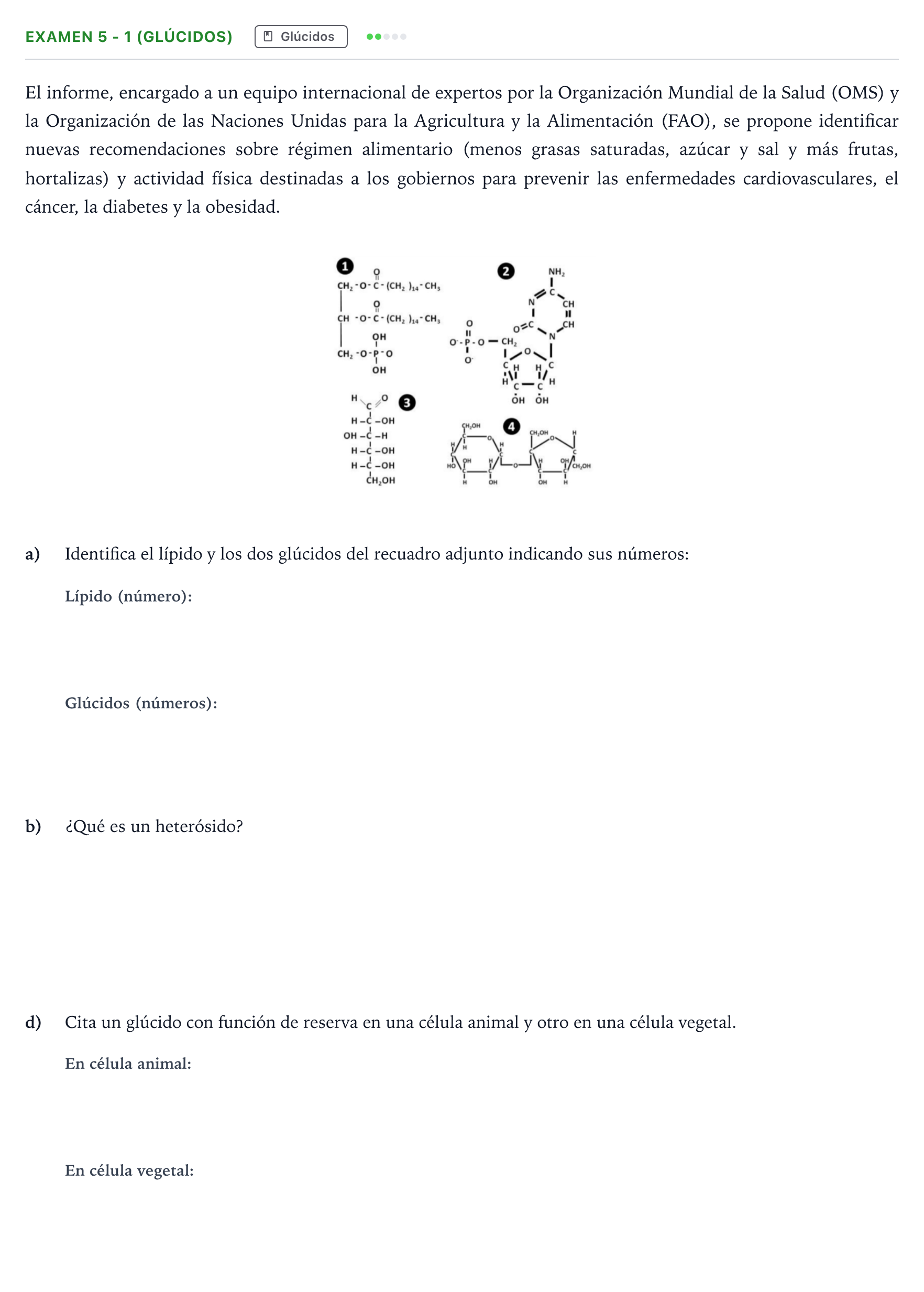 Enunciado: Ejercicio Examen 5 - 1 (Glúcidos) · Biología PAU Canarias Preguntas-Ebau.pdf
