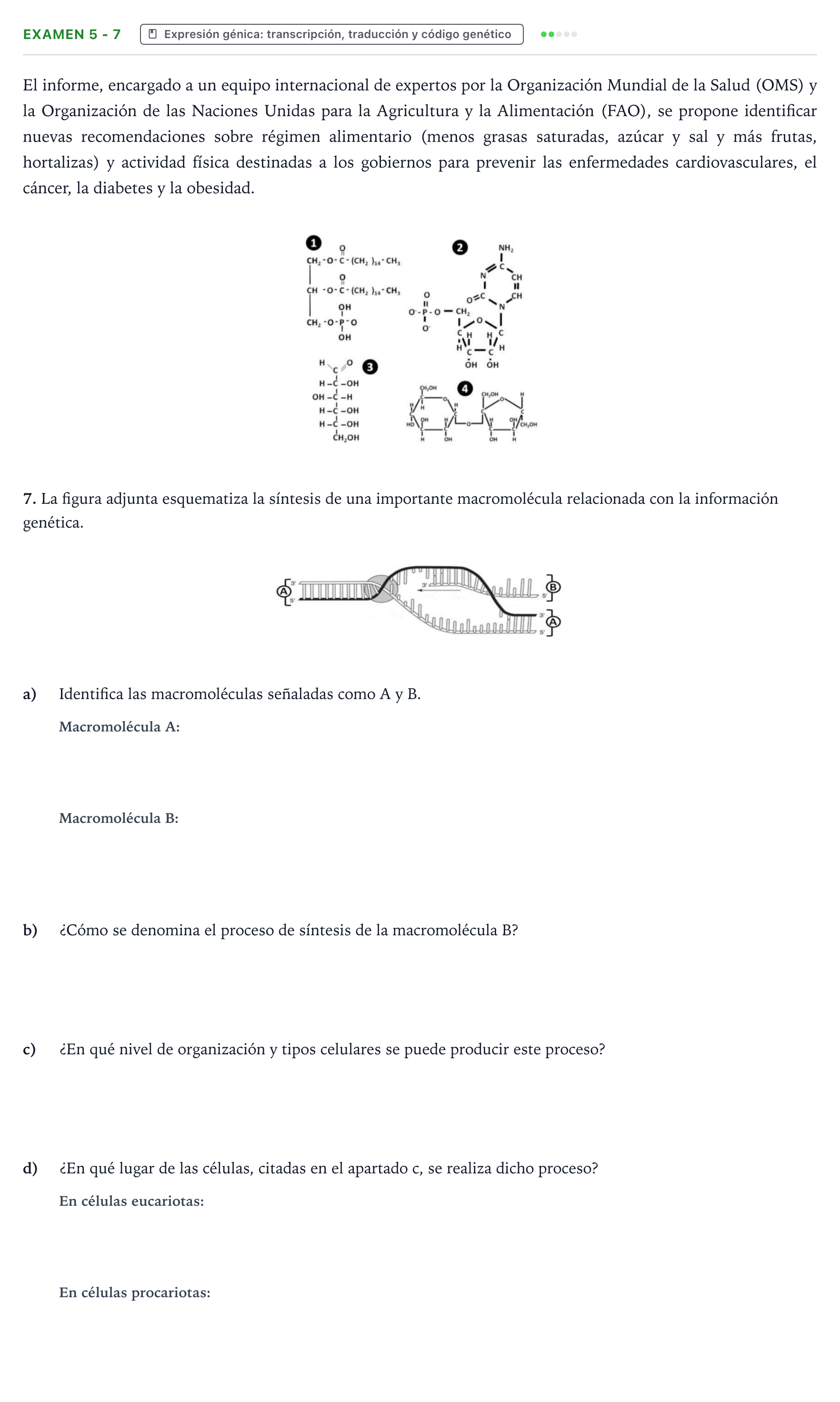 Enunciado: Ejercicio Examen 5 - 7 · Biología PAU Canarias Preguntas-Ebau.pdf
