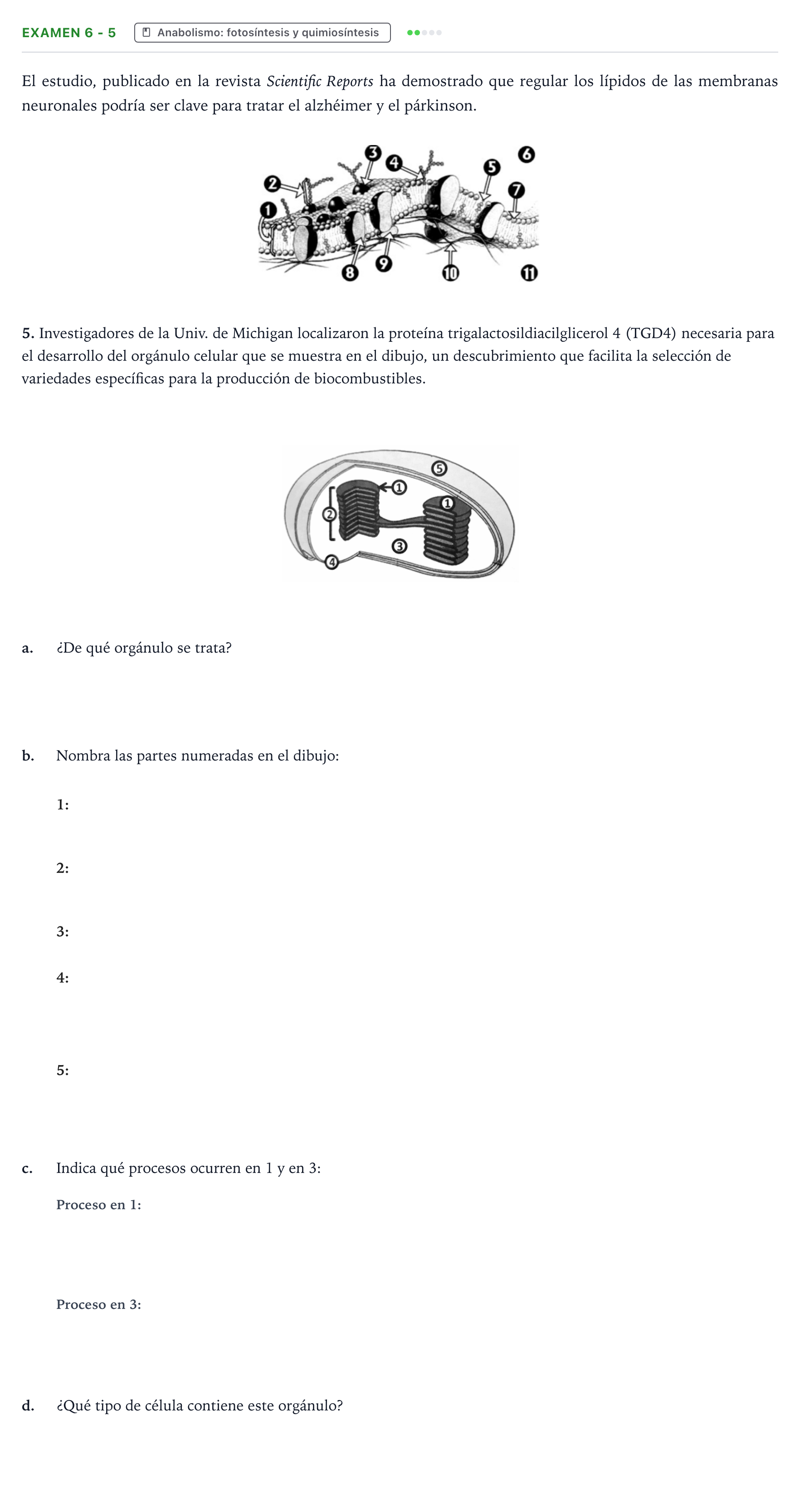 Enunciado: Ejercicio Examen 6 - 5 · Biología PAU Canarias Preguntas-Ebau.pdf