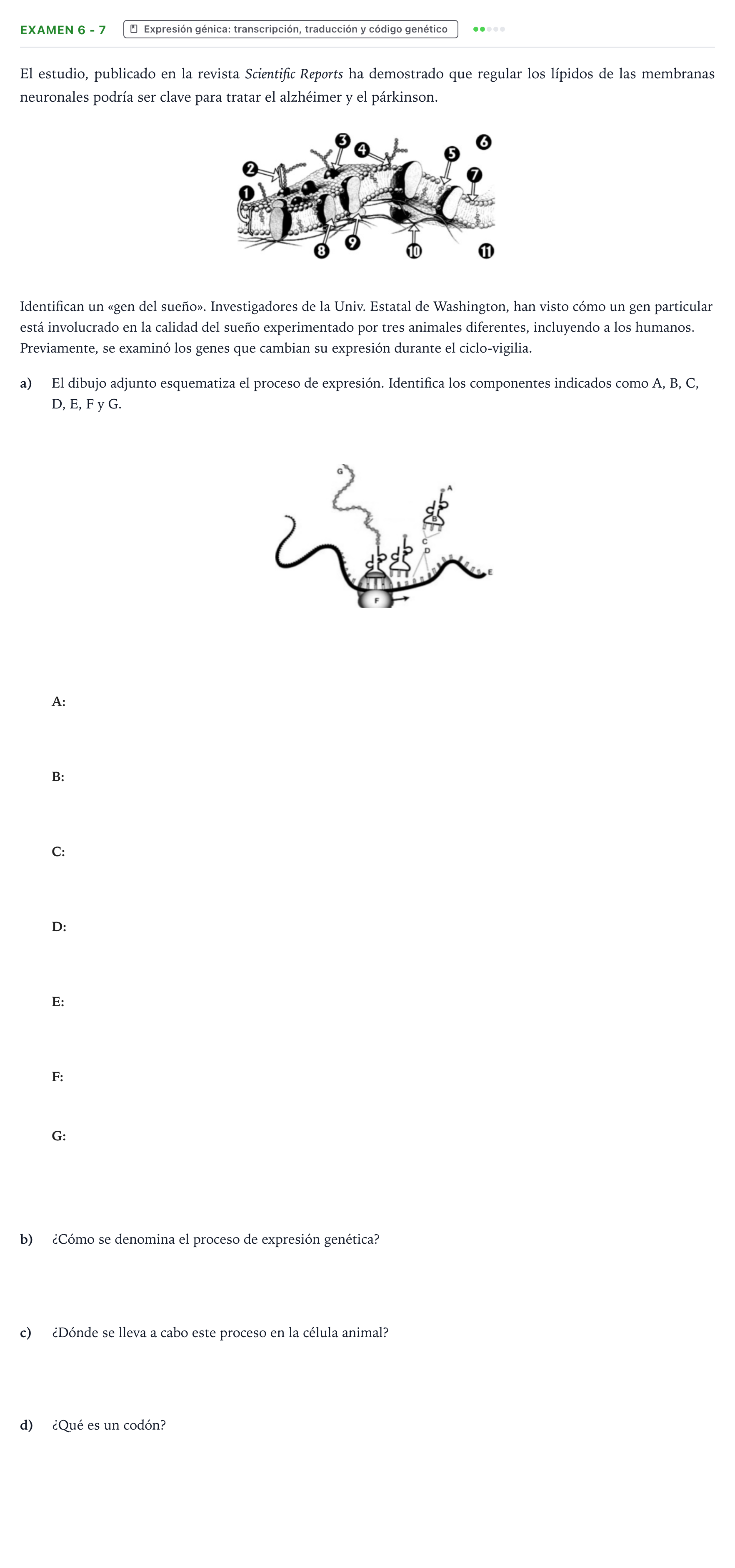 Enunciado: Ejercicio Examen 6 - 7 · Biología PAU Canarias Preguntas-Ebau.pdf