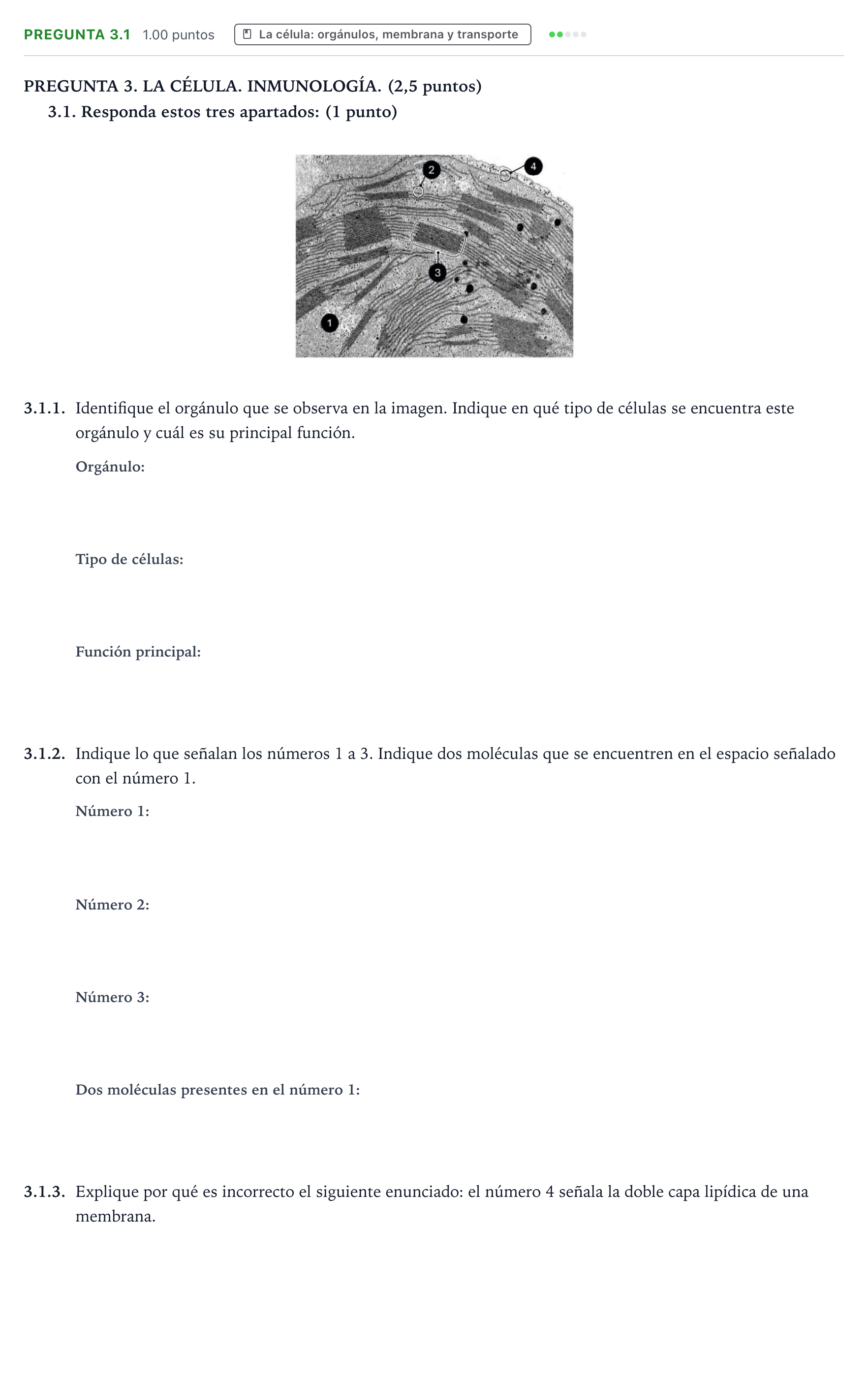 Enunciado: Pregunta 3.1 · Biología PAU Galicia Extraordinaria 2026