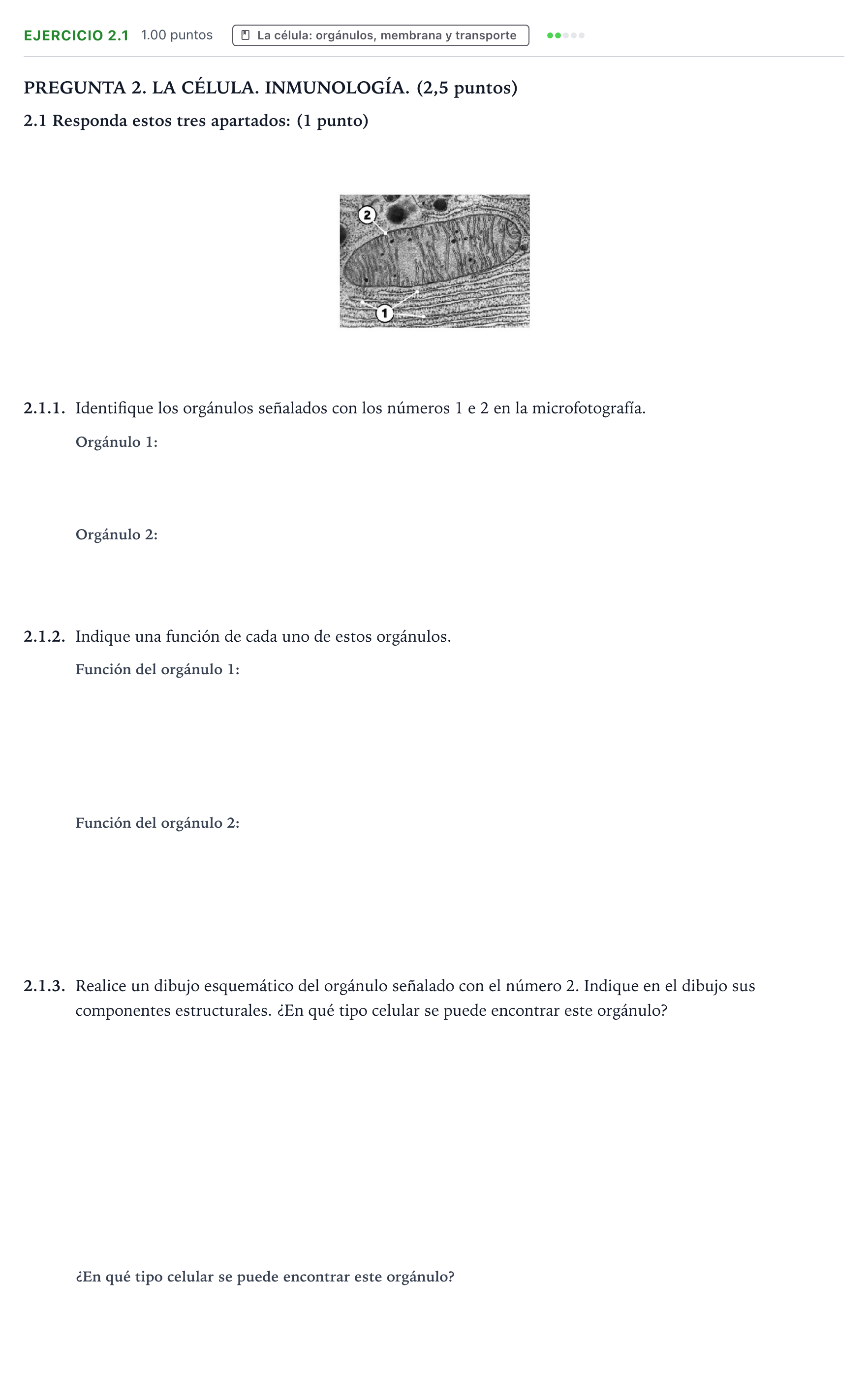 Enunciado: Ejercicio 2.1 - La célula: orgánulos · Biología PAU Galicia Ordinaria 2026