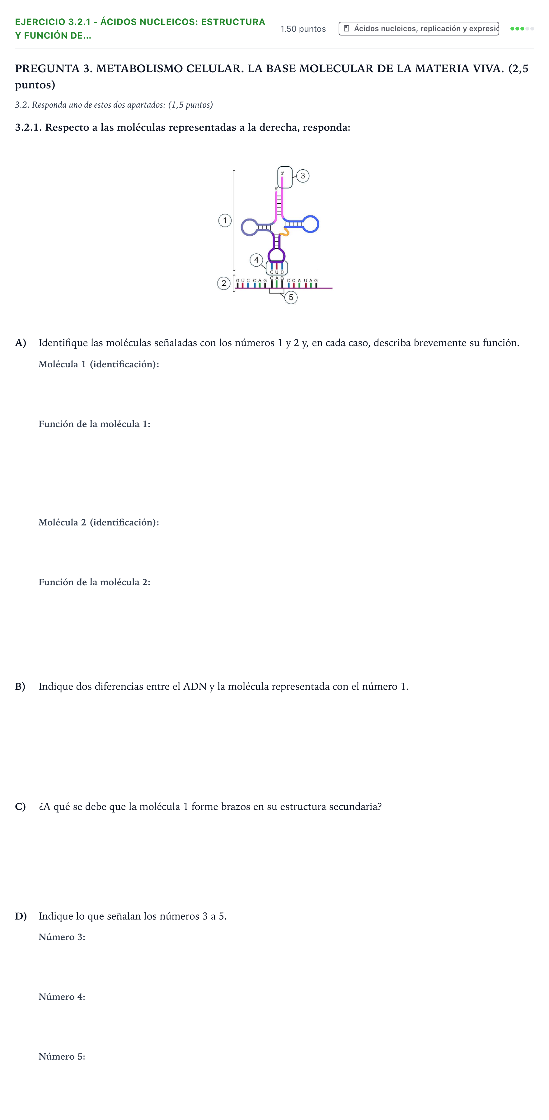 Enunciado: Ejercicio 3.2.1 - Ácidos nucleicos: estructura y función de… · Biología PAU Galicia Ordinaria 2026