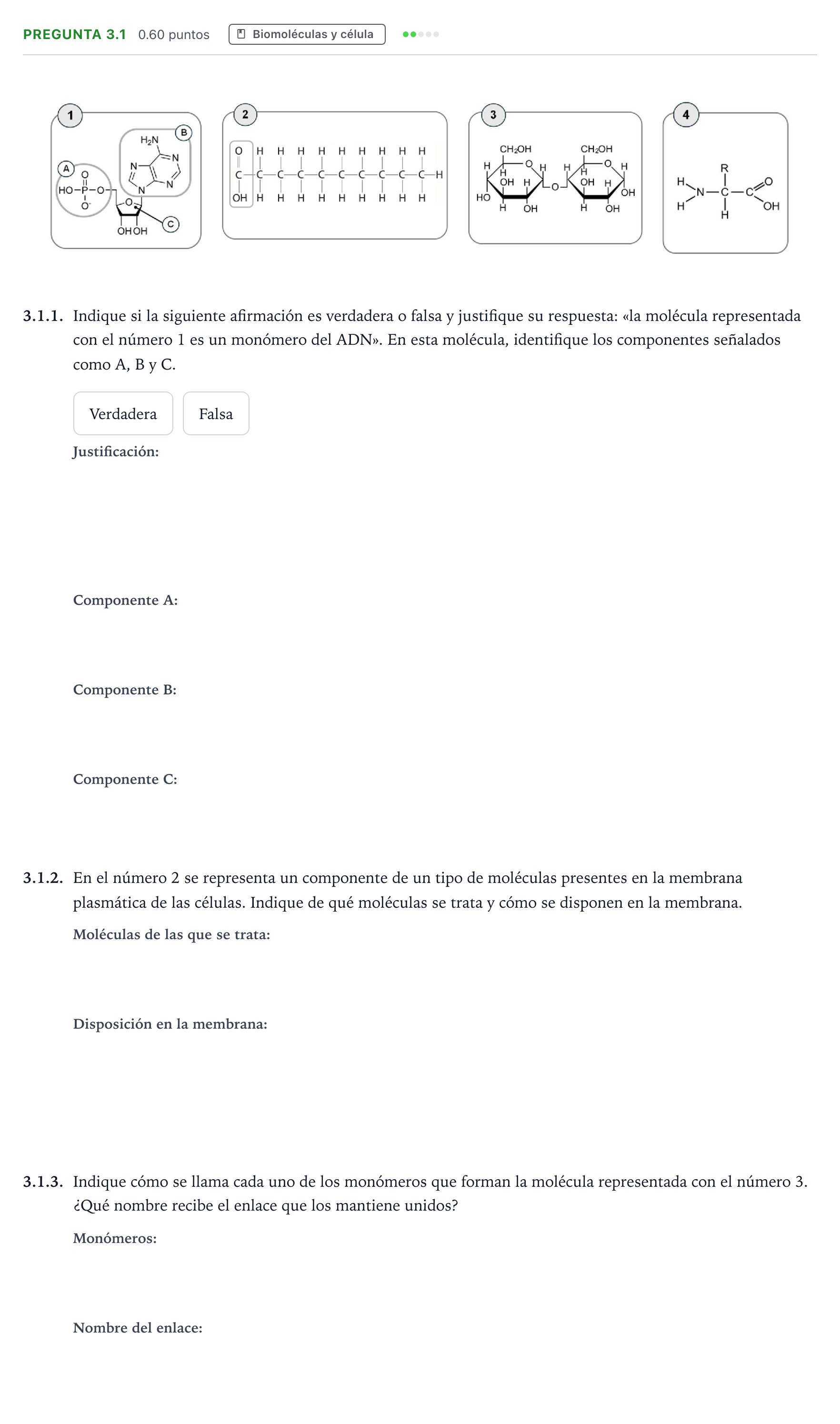 Enunciado: Pregunta 3.1 - Biomoléculas · Ciencias Generales PAU Galicia Extraordinaria 2026