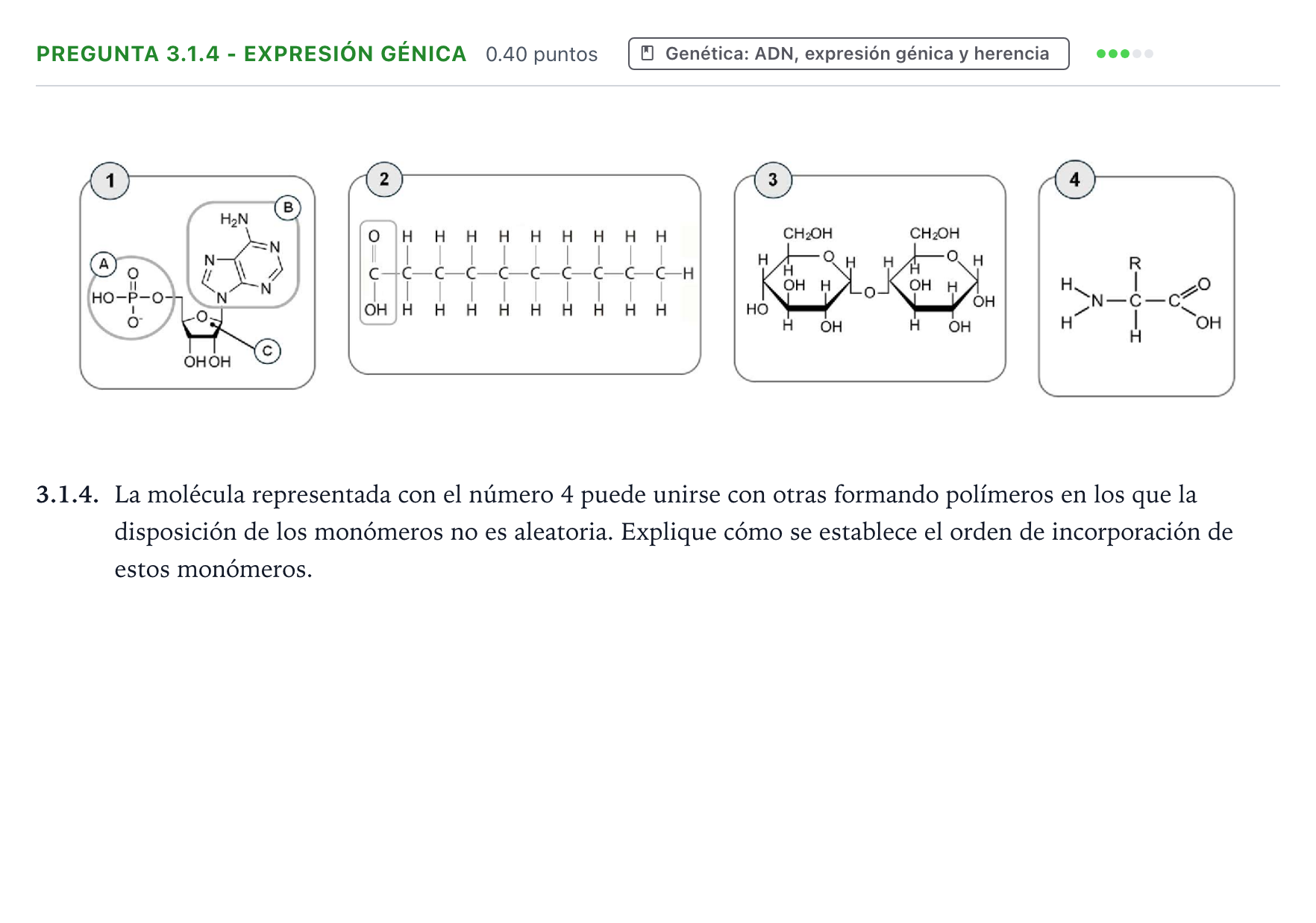 Enunciado: Pregunta 3.1.4 - Expresión génica · Ciencias Generales PAU Galicia Extraordinaria 2026
