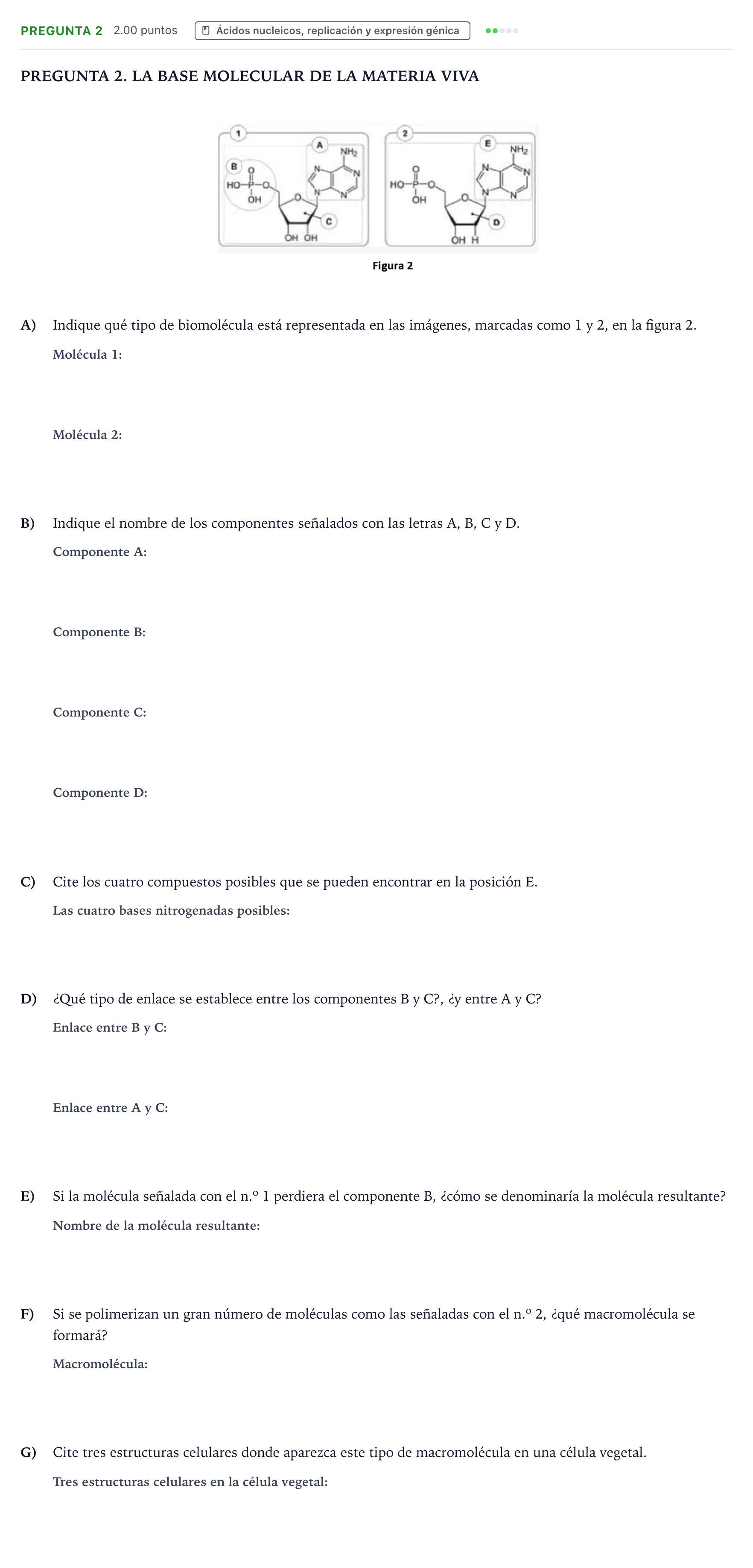 Enunciado: Pregunta 2 · Biología PAU Galicia Ordinaria 2024
