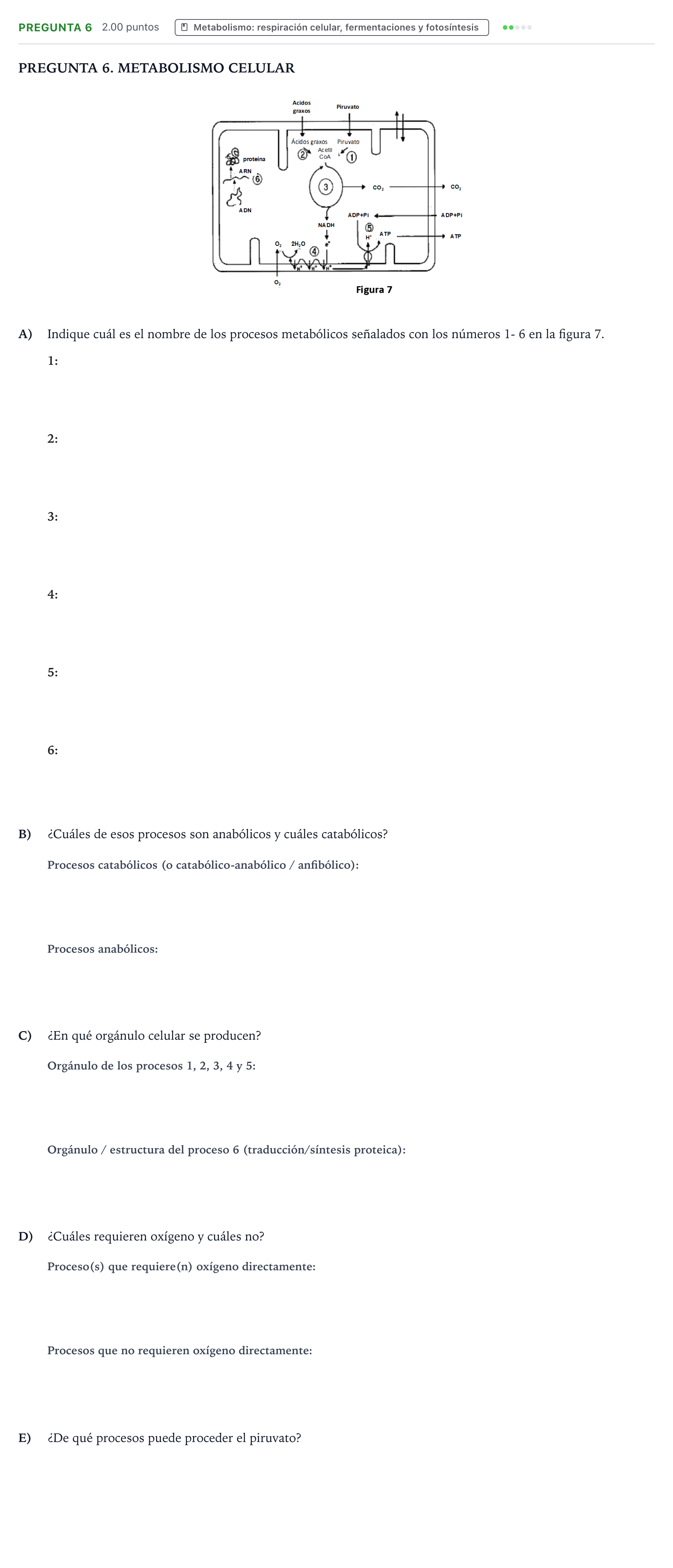 Enunciado: Pregunta 6 · Biología PAU Galicia Ordinaria 2024