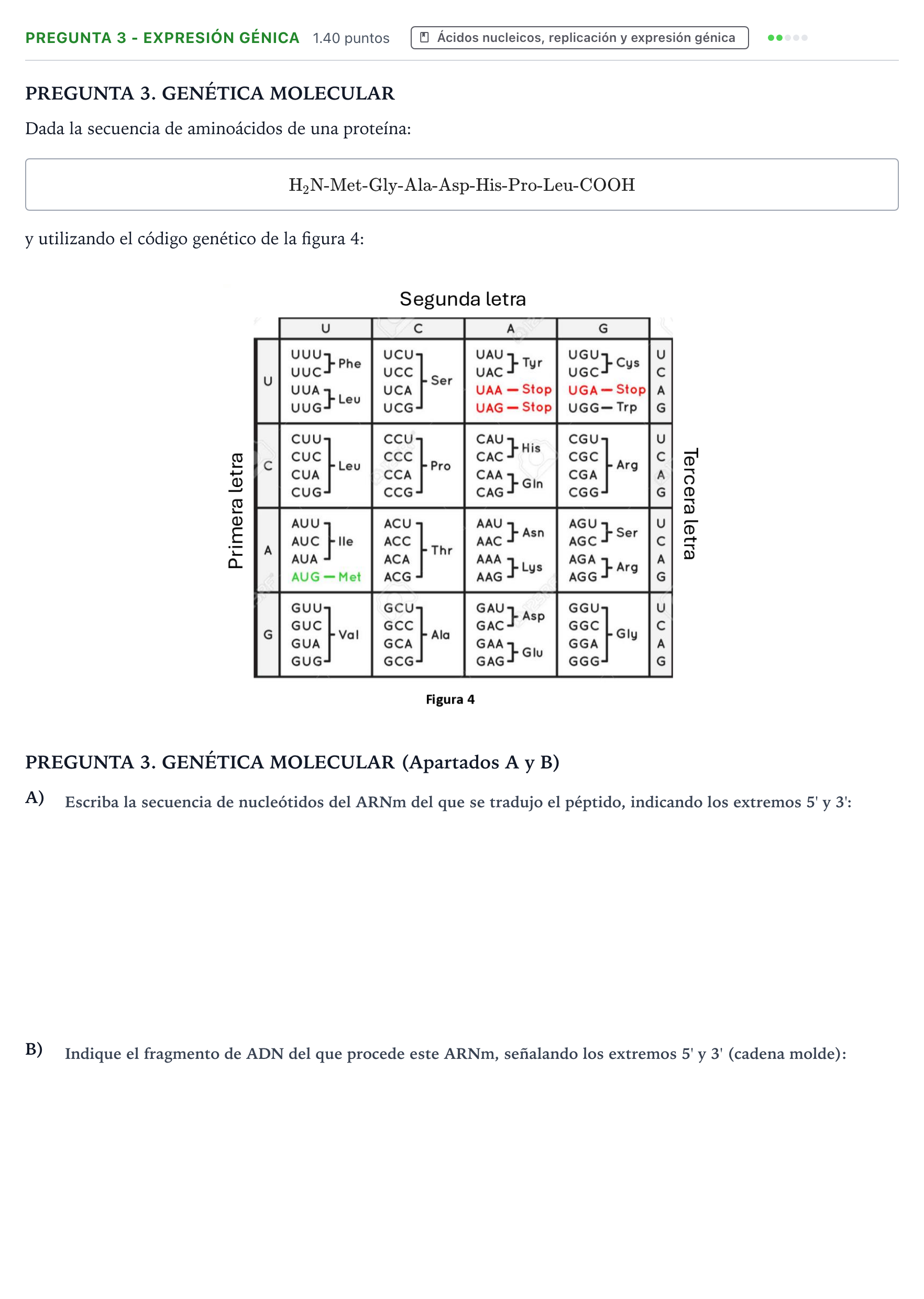 Enunciado: Pregunta 3 - Expresión génica · Biología PAU Galicia Extraordinaria 2024