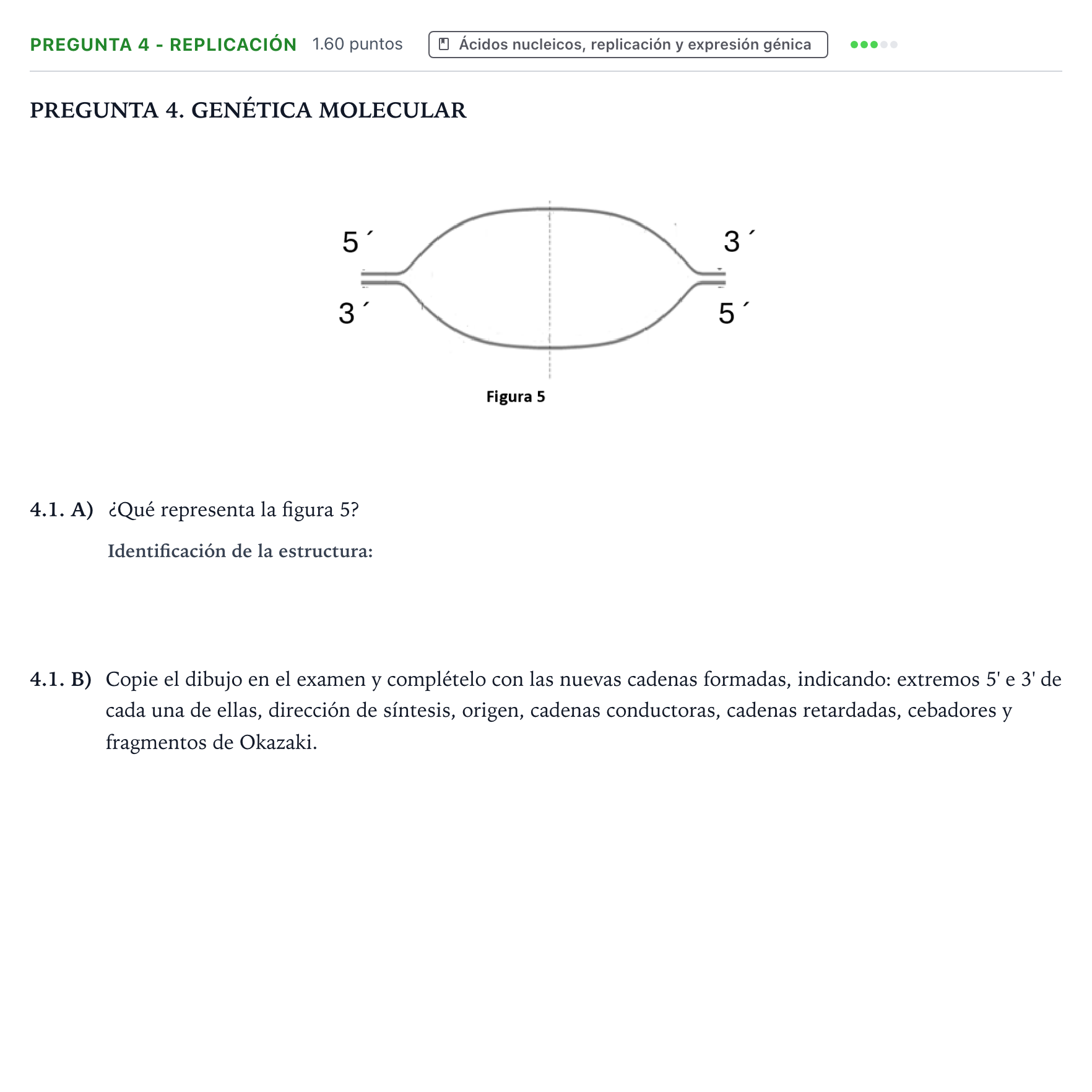 Enunciado: Pregunta 4 - Replicación · Biología PAU Galicia Extraordinaria 2024