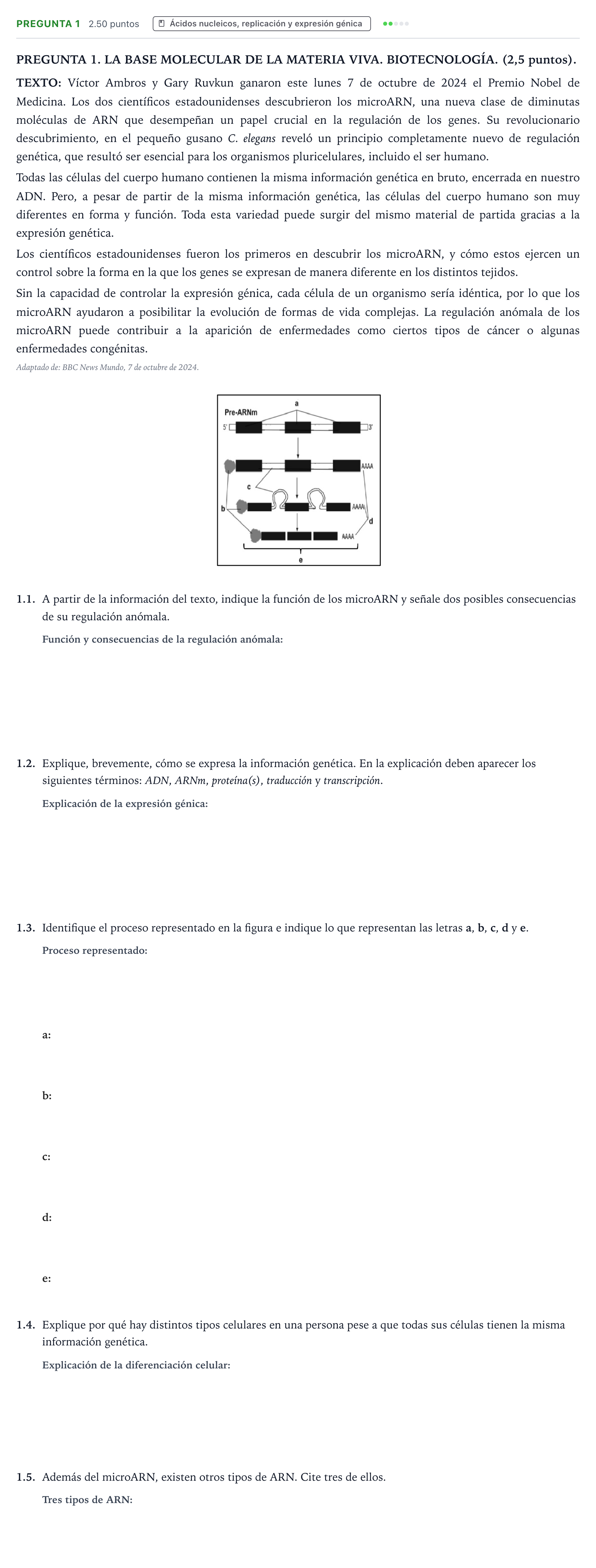 Enunciado: Pregunta 1 · Biología PAU Galicia Extraordinaria 2025