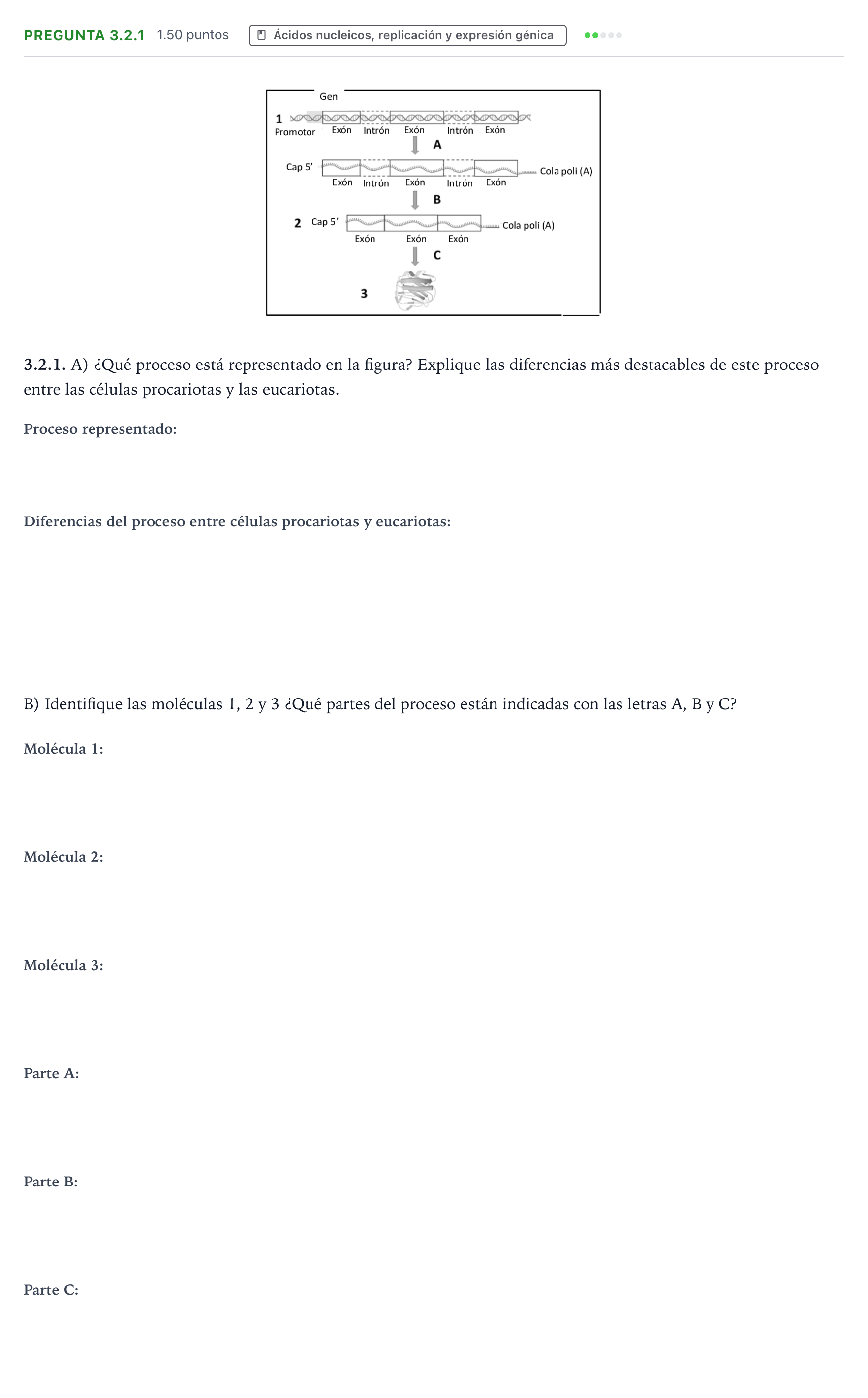Enunciado: Pregunta 3.2.1 · Biología PAU Galicia Ordinaria 2025